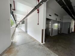 Braddell Tech (D12), Factory #628757301